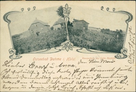 Alte Ansichtskarte Ostseebad Dahme i. Holst., Rosenschule von Gebr. Resthöft