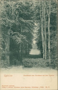 Alte Ansichtskarte Ugleisee, Durchblick vom Forsthaus auf den Ugleisee