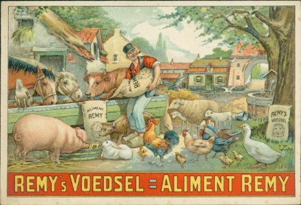Alte Ansichtskarte Remy's Voedsel = Aliment Remy, Société Anonyme des Usines Remy à Wijgmael (Brabant)