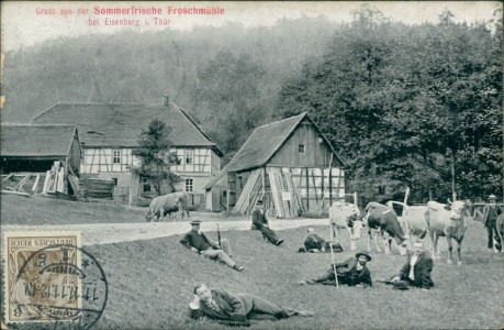 Alte Ansichtskarte Eisenberg, Sommerfrische Froschmühle