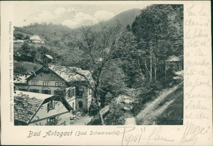 Alte Ansichtskarte Bad Antogast (Bad. Schwarzwald), Teilansicht