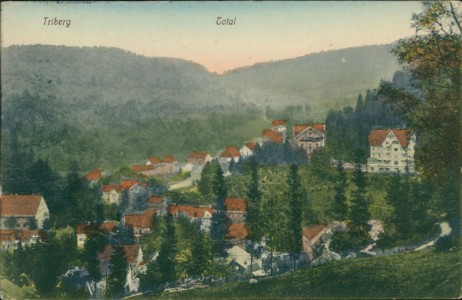 Alte Ansichtskarte Triberg im Schwarzwald, Total