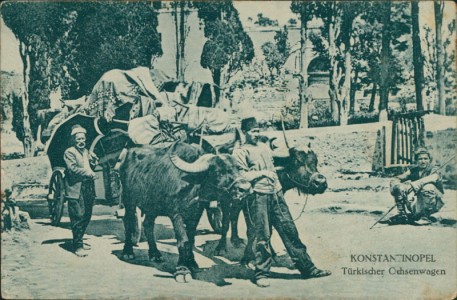 Alte Ansichtskarte Konstantinopel / Constantinople, Türkischer Ochsenwagen