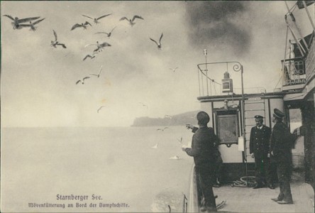 Alte Ansichtskarte Starnberger See, Mövenfütterung an Bord der Dampfschiffe