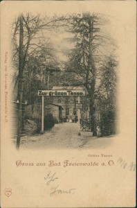 Alte Ansichtskarte Bad Freienwalde (Oder), Zur grünen Tanne