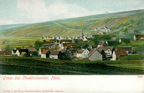 Alte Ansichtskarte Thaleischweiler (Pfalz), Gesamtansicht