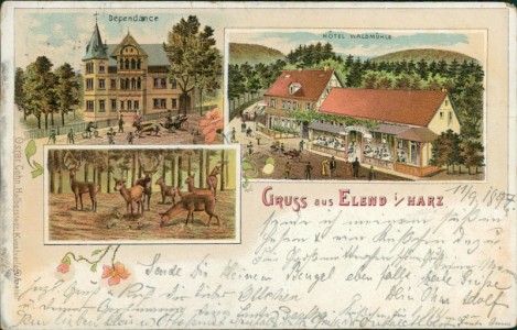 Alte Ansichtskarte Gruss aus Elend i/Harz, Hotel Waldmühle, Dependance