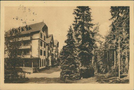 Alte Ansichtskarte Villingen, Kurhaus Waldhotel
